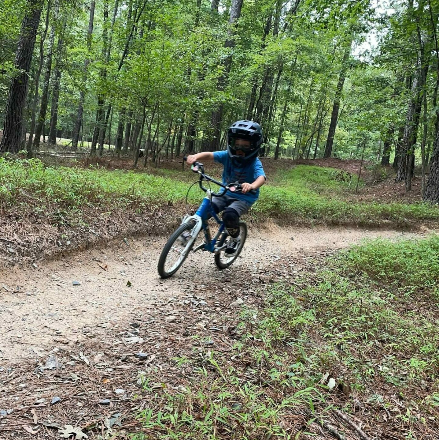 Mountain Bike Resources for Families Kids Ride MTB